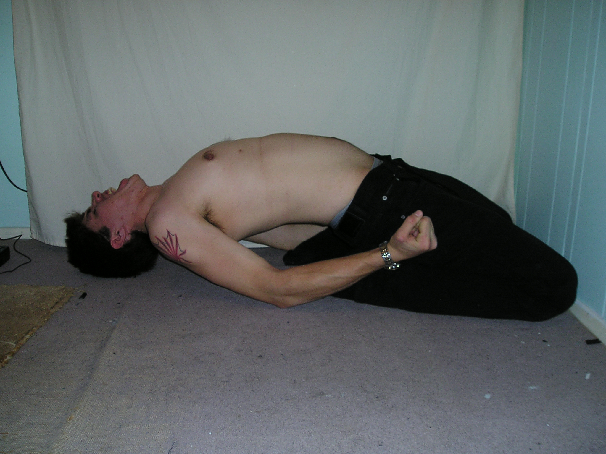 Wookiestock: Head over heels:4