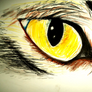 Cats eye