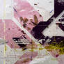 DS collage v6 pink