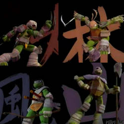 Vision Quest TMNT