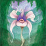 Curse of the Orchids: The Seductress