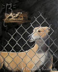 Memories of a Greyhound by FuzzyCreaturePainter