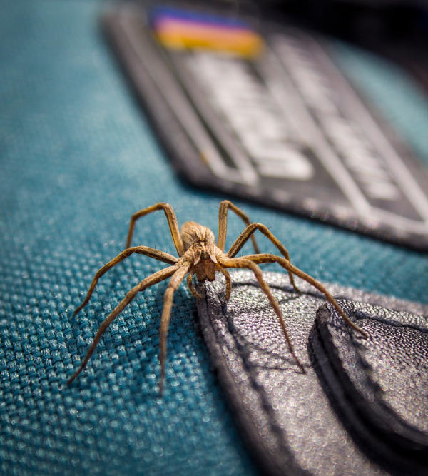 Camera bag security by JoeGP