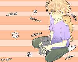mihashi and cats..