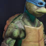 Teenage Mutant Ninja Turtle: The Suit