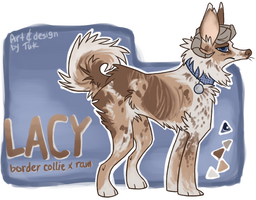 Lacy ref