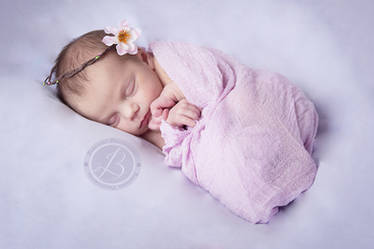 Italia's Newborn session