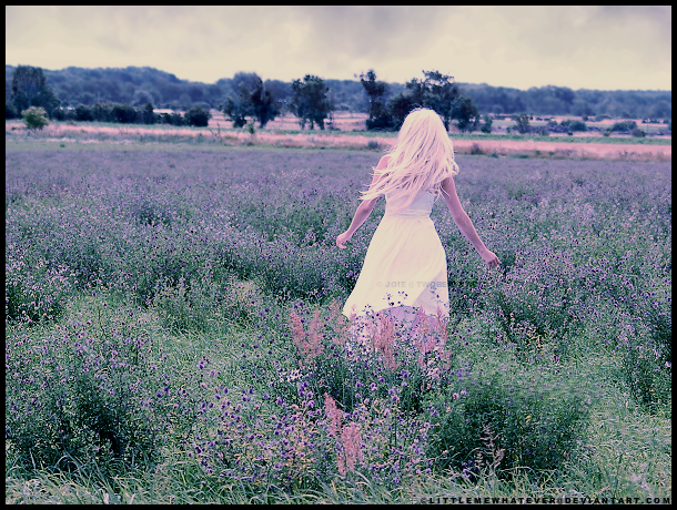 Lavender