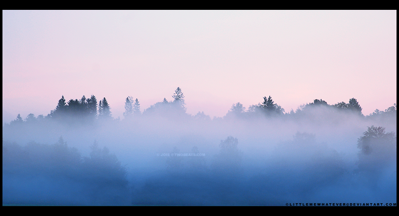 Waves of Mist