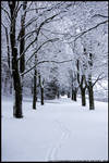 Winter Wonderland by littlemewhatever