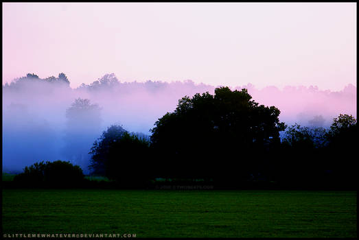 Clearing Mist