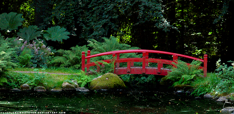 Forest Bridge