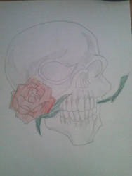 Skull 'n' Rose