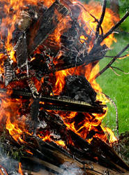 Midsummer Bonfire - Detail