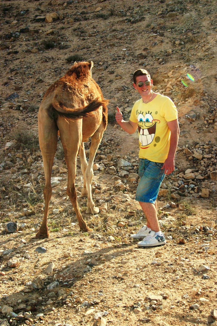 Camel, thumbs up