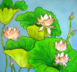 Lotus on Turquoise