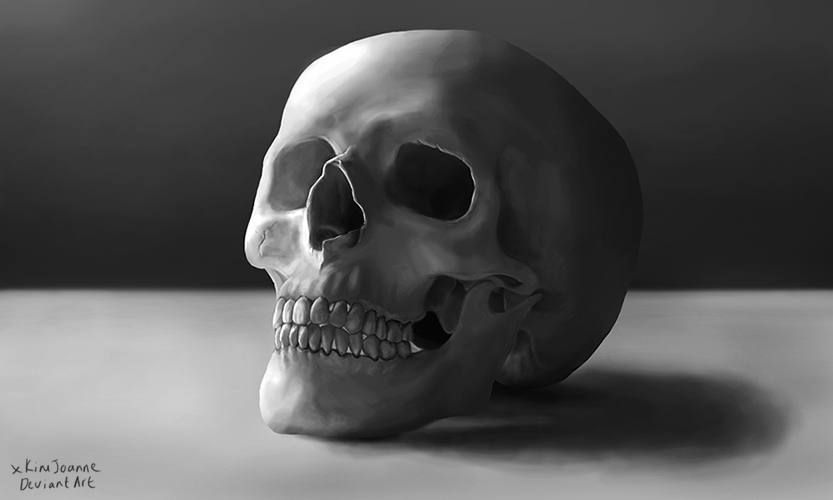 Digital Painting Skull Still Life Practice