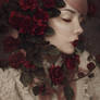 Red Roses - I