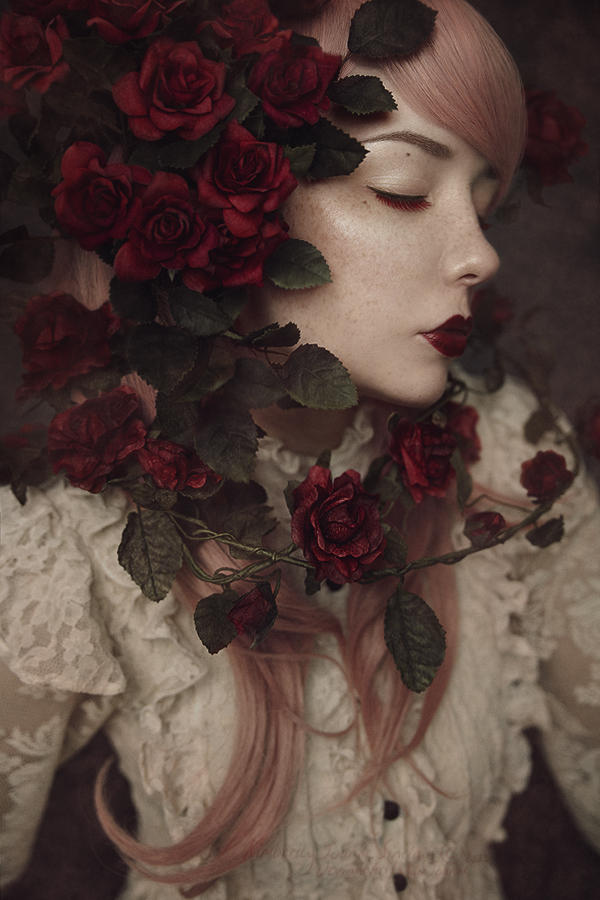 Red Roses - I by KimJSinclair