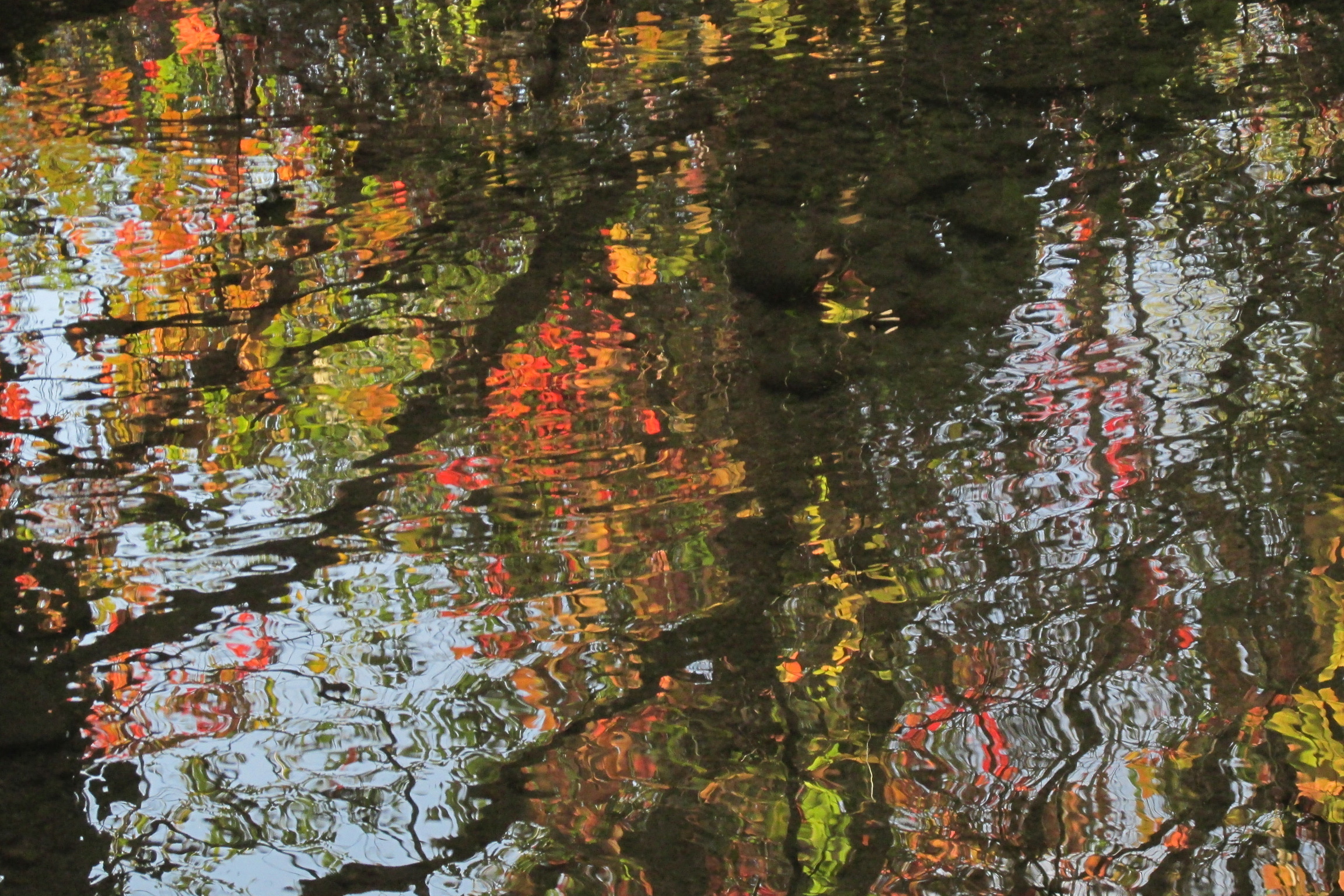 Reflected trees