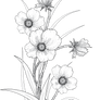 flowers 3 png