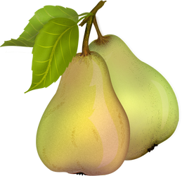 Pear 10