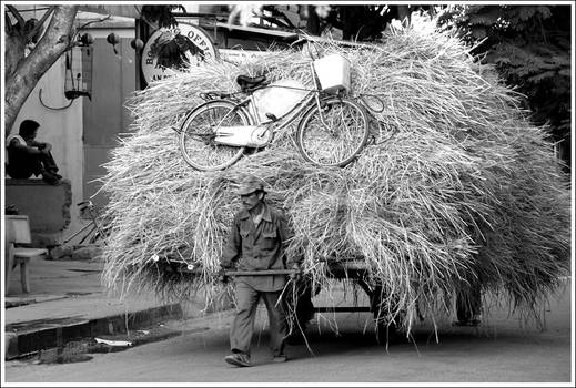 The Hay Carrier