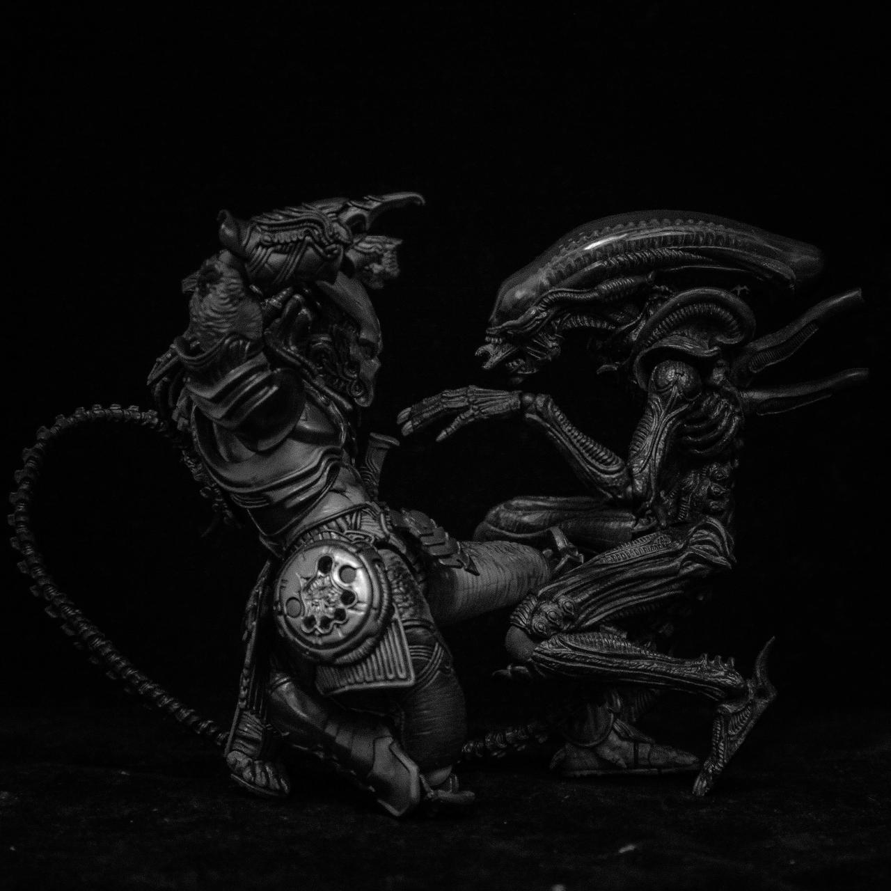 Alien vs. Predator by AndyReidYoung on DeviantArt