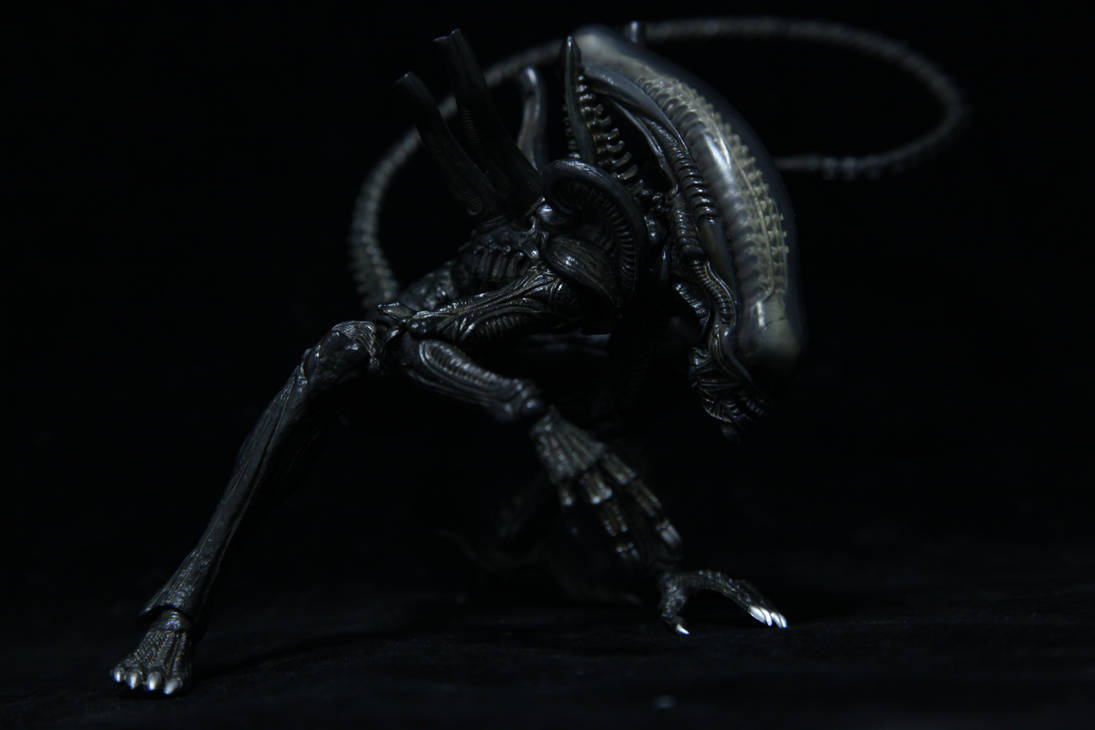 Alien vs. Predator by AndyReidYoung on DeviantArt