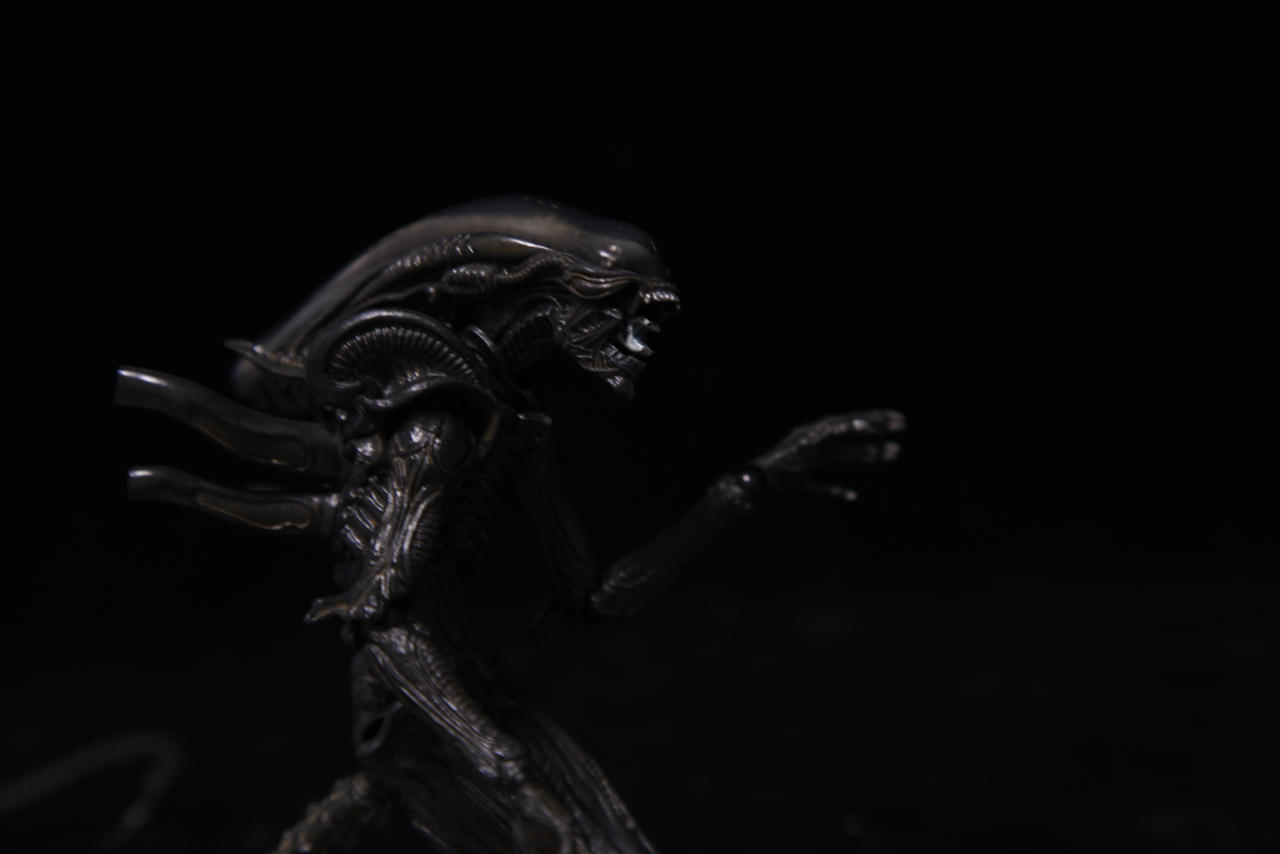 Alien vs. Predator by AndyReidYoung on DeviantArt