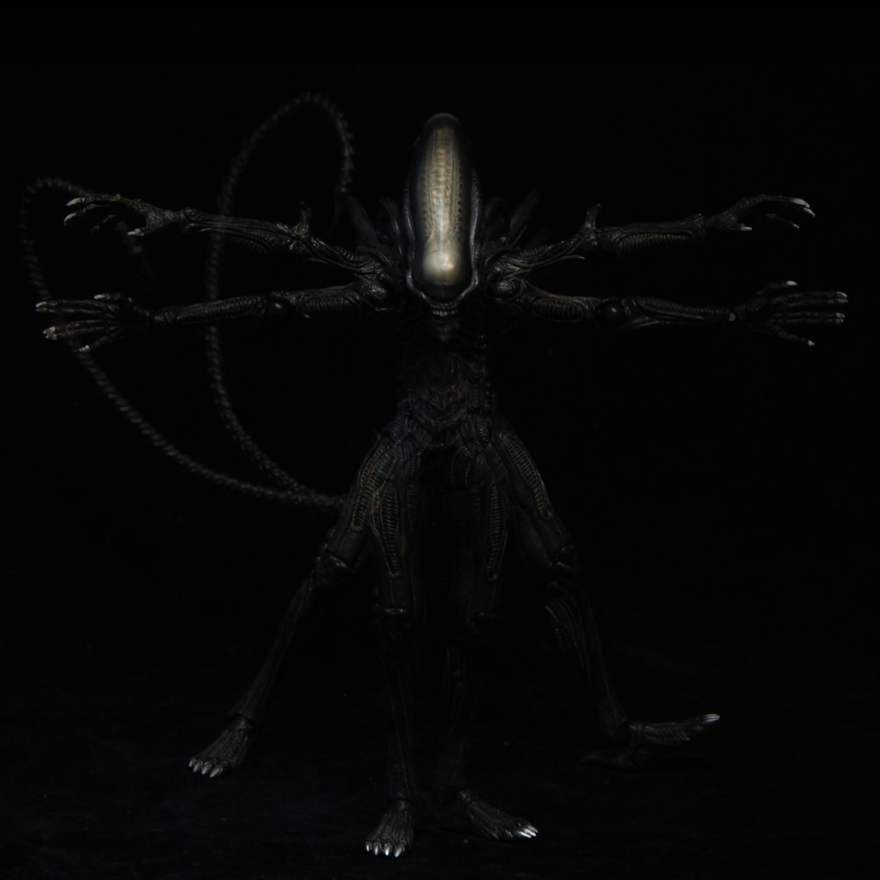 Alien vs. Predator by AndyReidYoung on DeviantArt