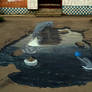 3D street art: Dolphins (Russia) + video