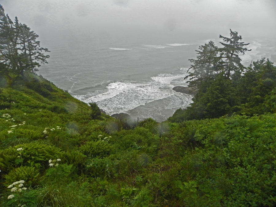 Cape Disappointment