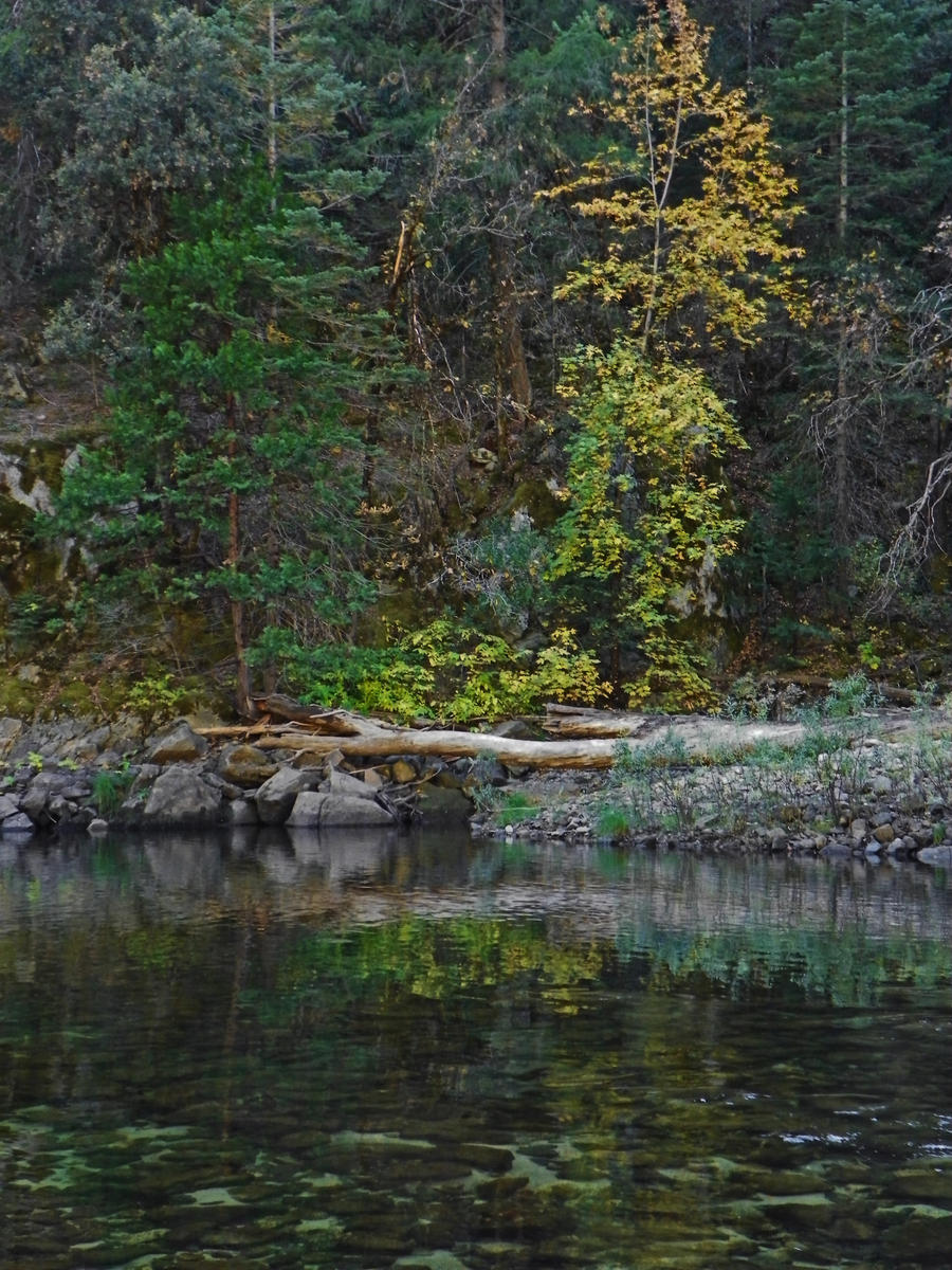 Autumn Colors by the Merced River III