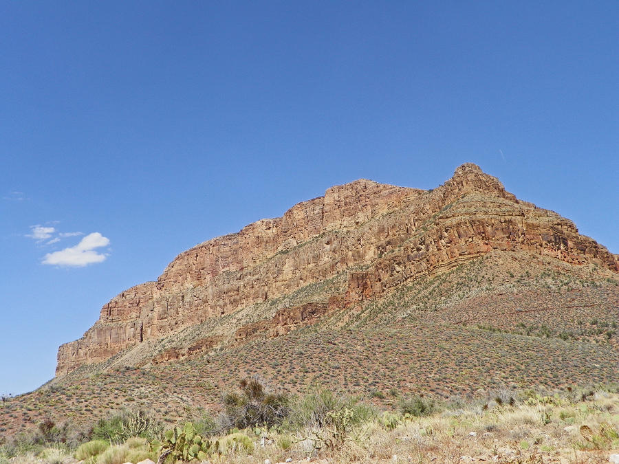 Diamond Creek Road Sights