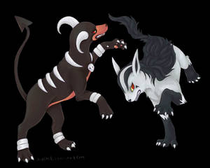 Dark Dogs - Houndoom+Mightyena