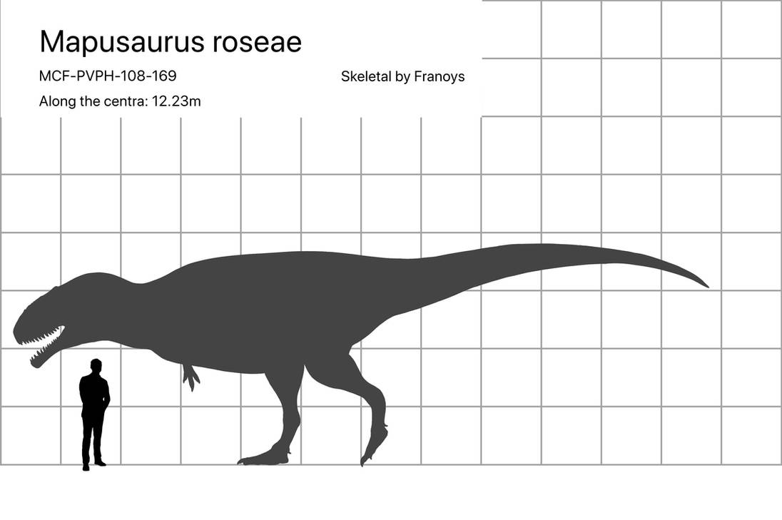 Mapusaurus roseae size comparison by carcharsauce on DeviantArt