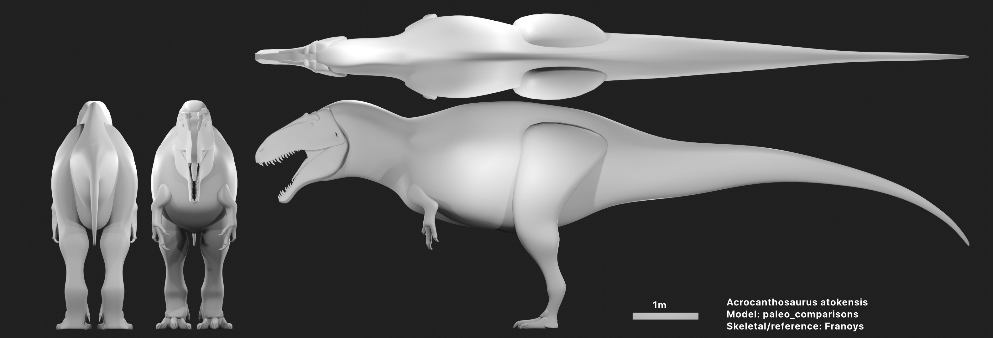 Acrocanthosaurus Skeleton