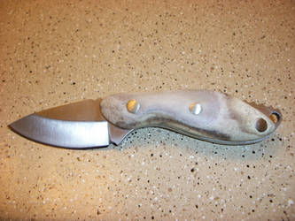 Full Tang Antler Handle Knife