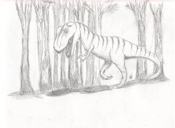 T Rex in the woods