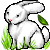 free rabbit icon