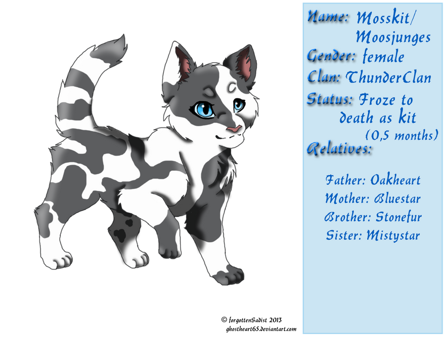 Warriors Mosskit By MarauderWolf93 On DeviantArt warriors-mosskit-by-marauderwolf93-on-deviantart