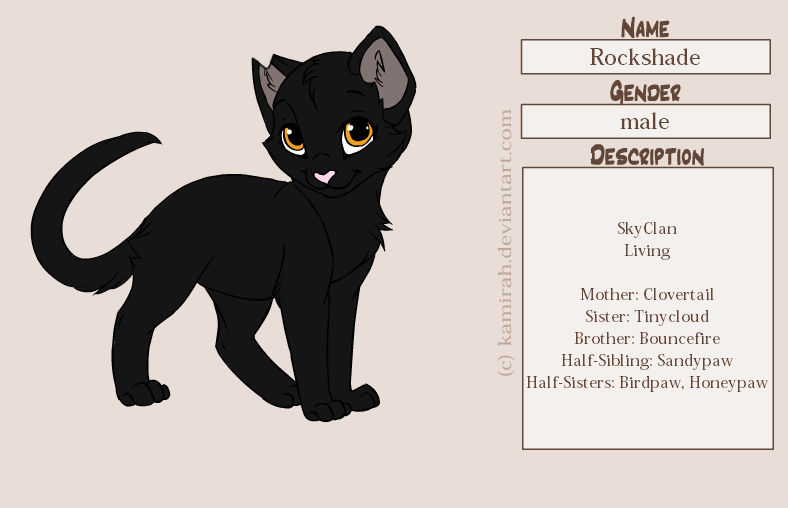 Warriors Rockshade Warriors: Rockshade by MarauderWolf93 on DeviantArt