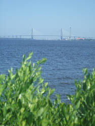 Summer on the Harbor