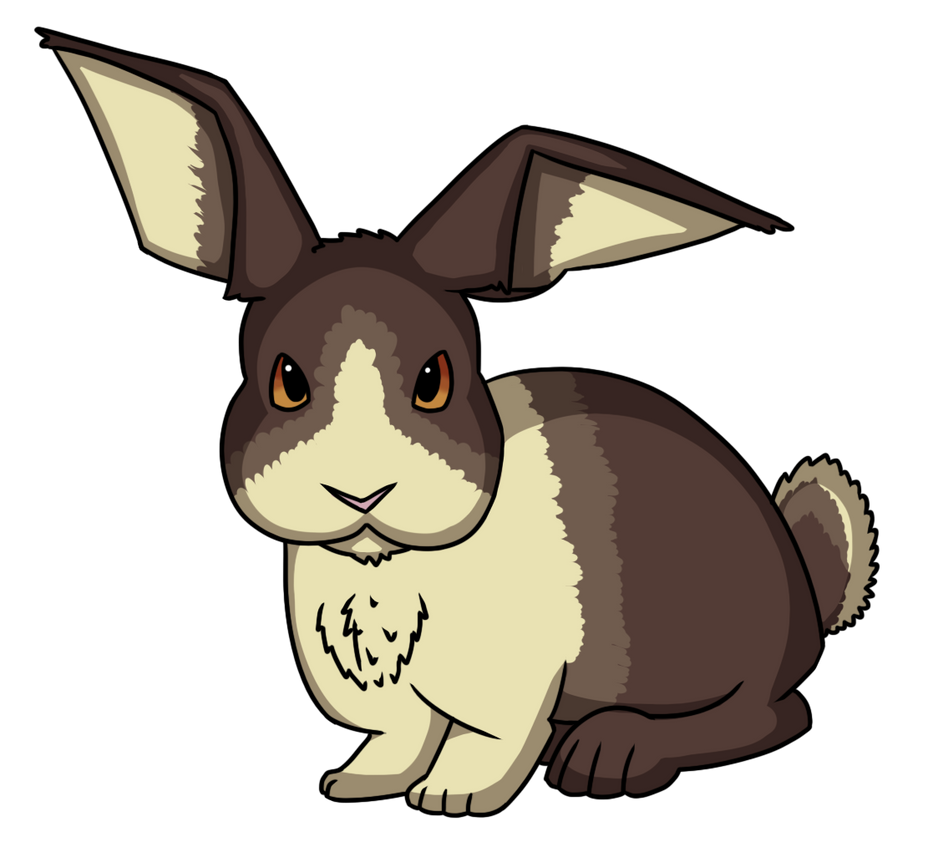Realistic rabbit by Junebug-Jamboree on DeviantArt