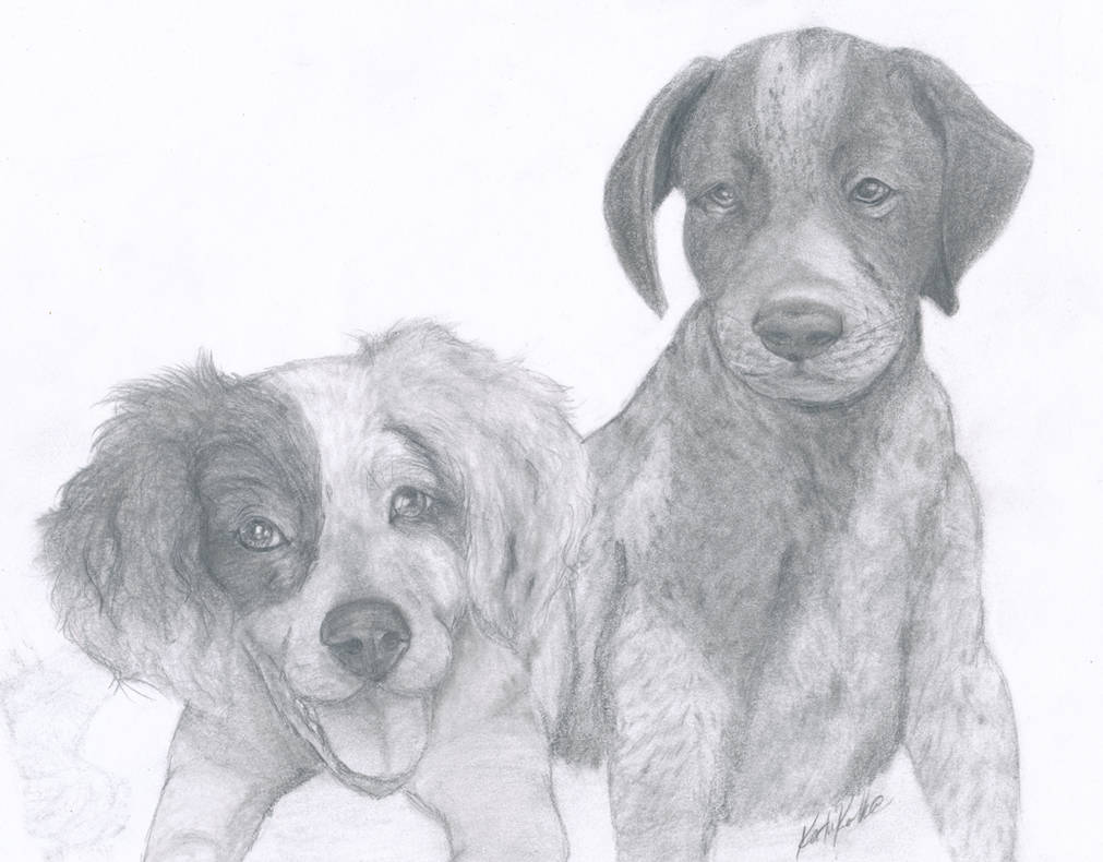 English Setter And German Short Haired Pointer By Kaiwolfbain2 On