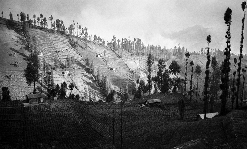 Tengger Hill