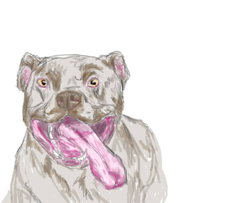Pibble Draw Happy Pibble doodle by JackRussellVenom on DeviantArt