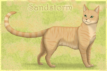 Warrior Cats - Sandstorm