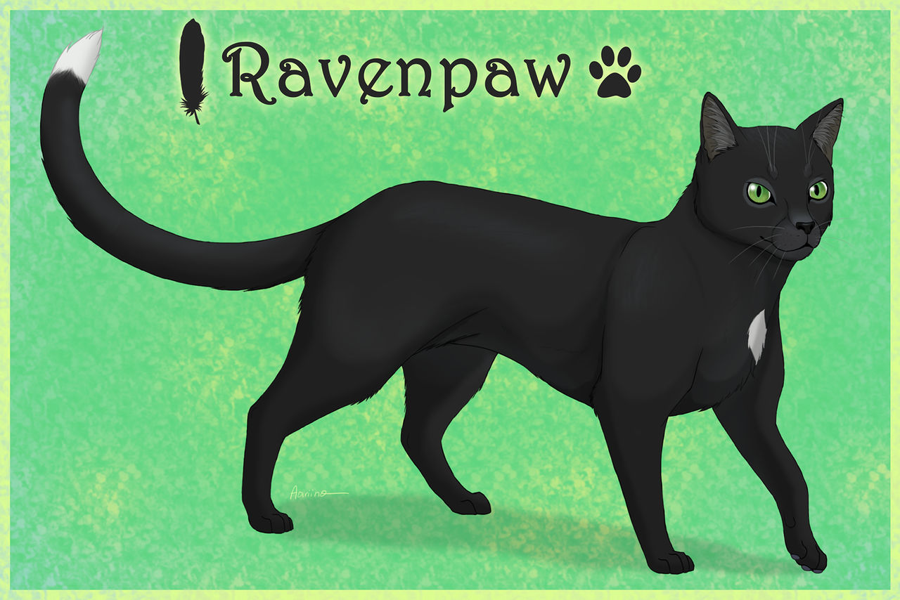 Warrior Cats - Ravenpaw by Aariina on DeviantArt